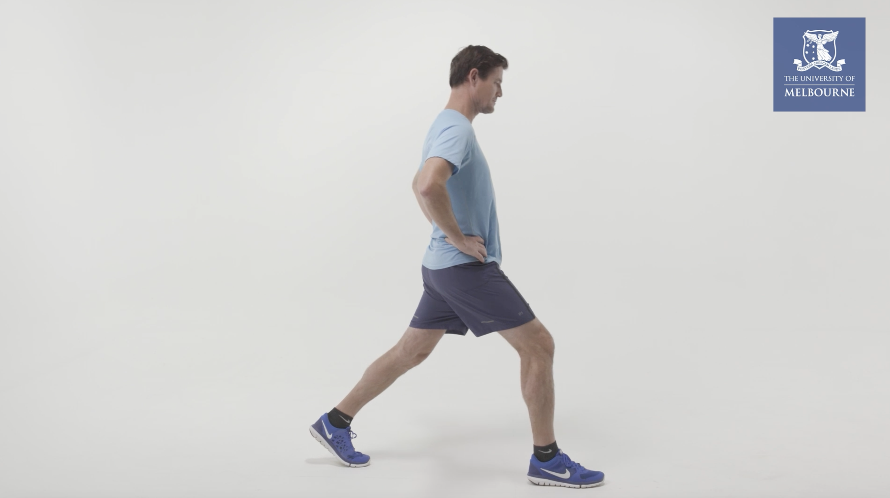 Lunge Mid